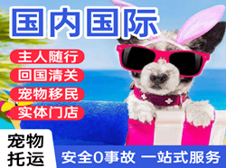 呼伦贝尔海拉尔航空物流国际宠物托运 【国